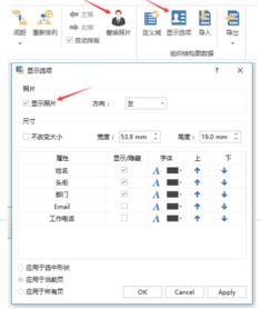 向知道用什么軟件編輯公司組織結構圖最好,最好是附上教程